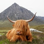 Scotland
